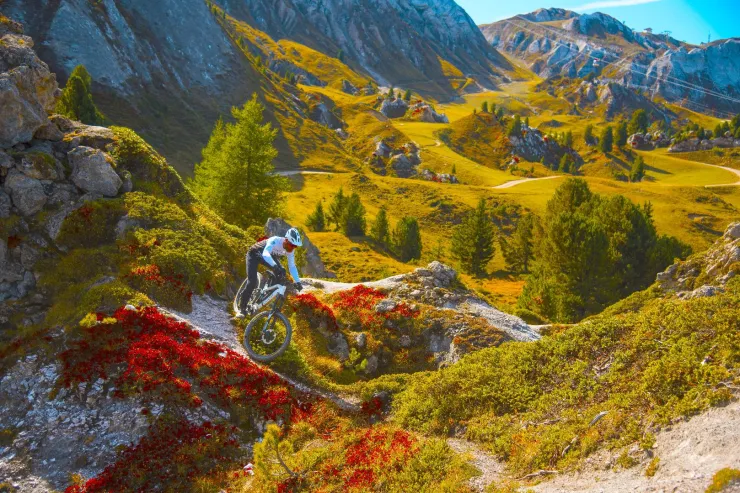 Mountain bike tracks or off-piste. All levels