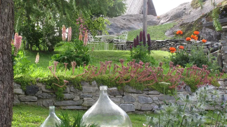 Le jardin