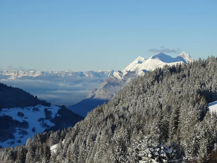 Vue Ouest: le massif des Bauges et la Chartreuse.