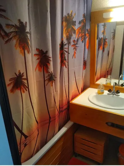 salle de bain avec baignoire. WC indépendant