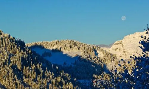 Mountains View