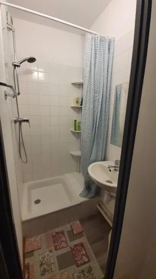 Salle de douche avec lavabo