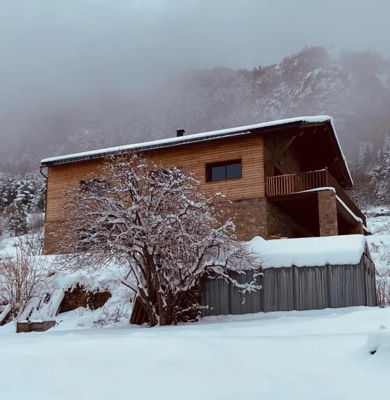 Le chalet avec les montagnes derrière avec vue du bas du village 