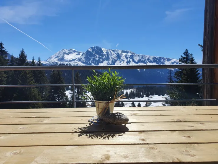Vue de la terrasse sur le taillefer exposition plein sud