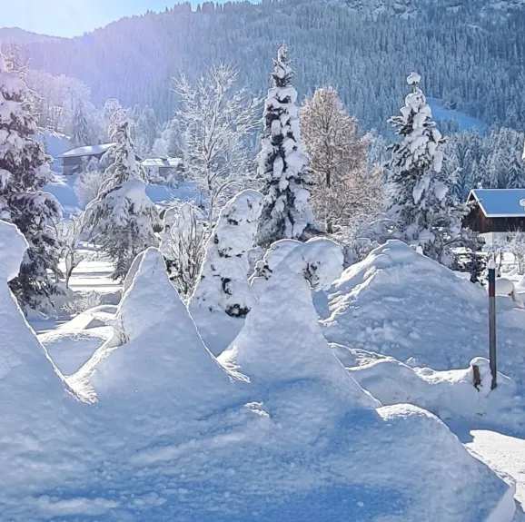 Jardin du chalet sous la neige