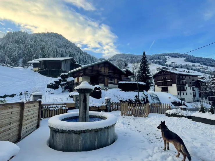 La terrasse en hiver avec notre chien Tim