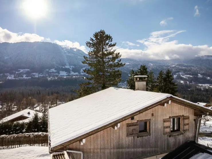 Vue d'hiver