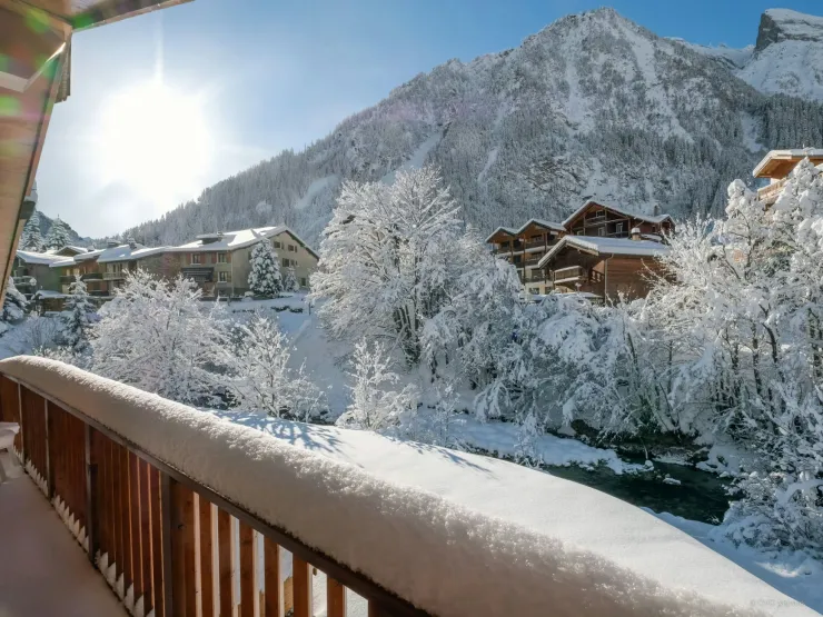 Vue d'hiver