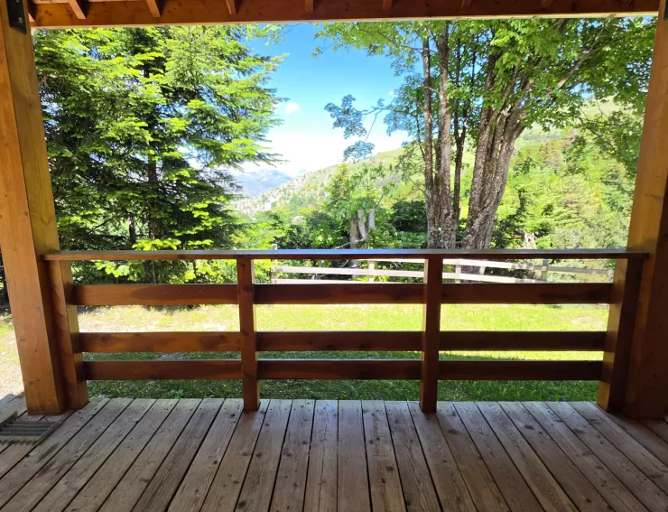 Vue sur le pic de Bure, 