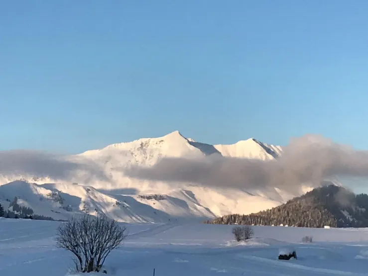 Pistes de ski de fond aux Confins