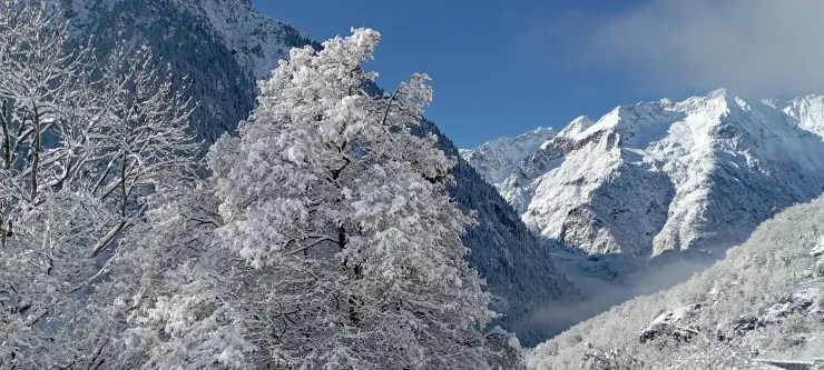 Winter view