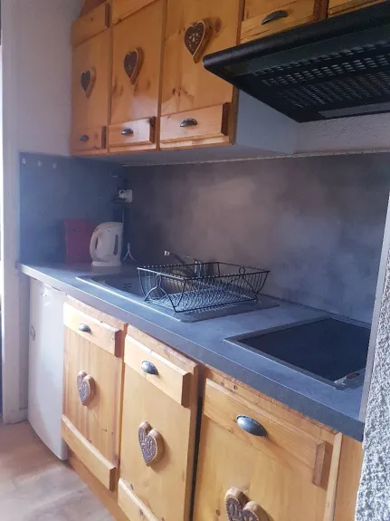 cuisine avec plaque de cuisson , frigo ,four micro-ondes -grill  , un 2ème frigo est disponible