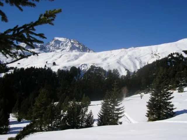 Paysage d'hiver propice aux ballades en raquettes.
