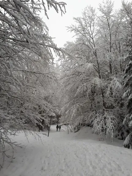 Chemin piétonnier sous la neige entre résidence et centre (200m)