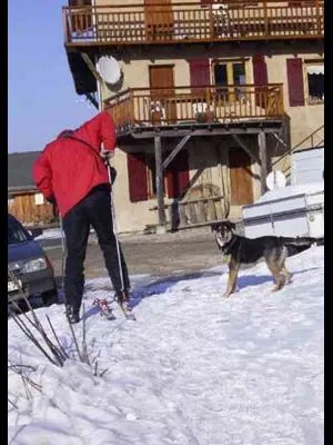 quand la neige le permet, les bons skieurs peuvent retourner à ski jusq'au chalet