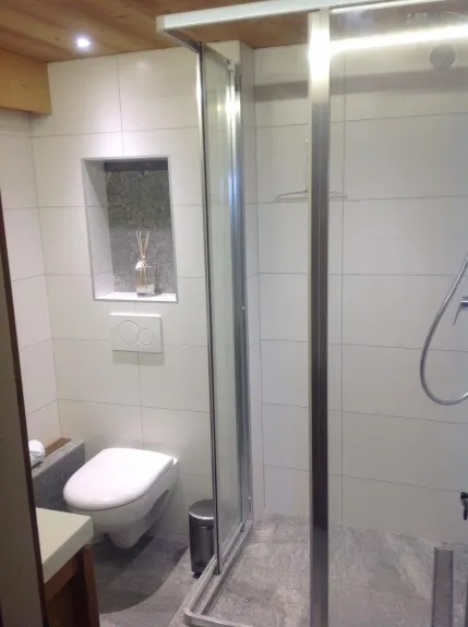 Salle d’eau avec douche , lavabo et WC