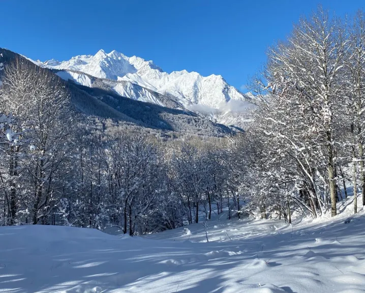 The under under the snow , very close to the  chalet. Ready for a snowshoeing trail?