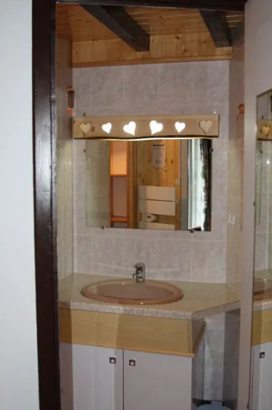 Petite salle d'eau avec douche