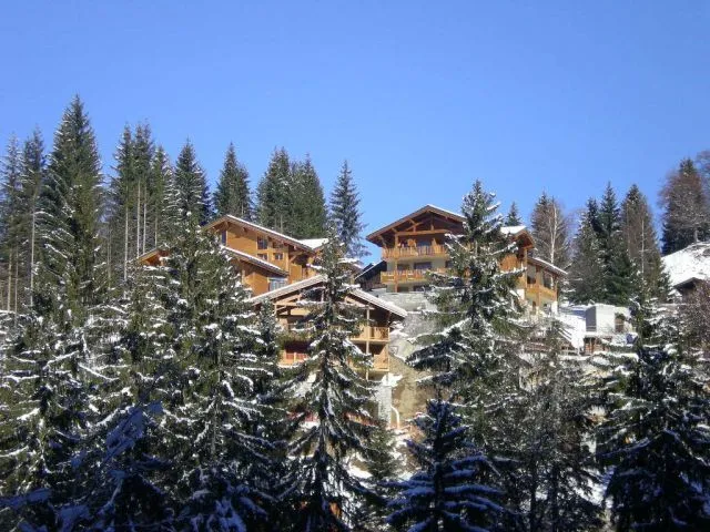 Résidence  "Chalet des Oursons" 