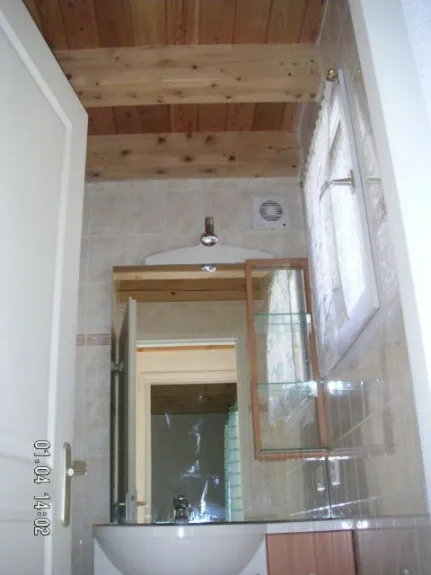 Petite salle de bain coquette avec douche 