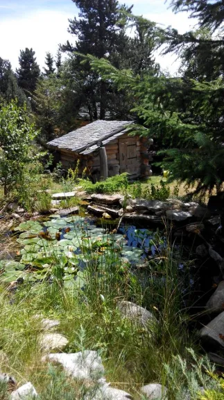 Bassin et cabane en rondin dans le jardin, accès direct à la forêt