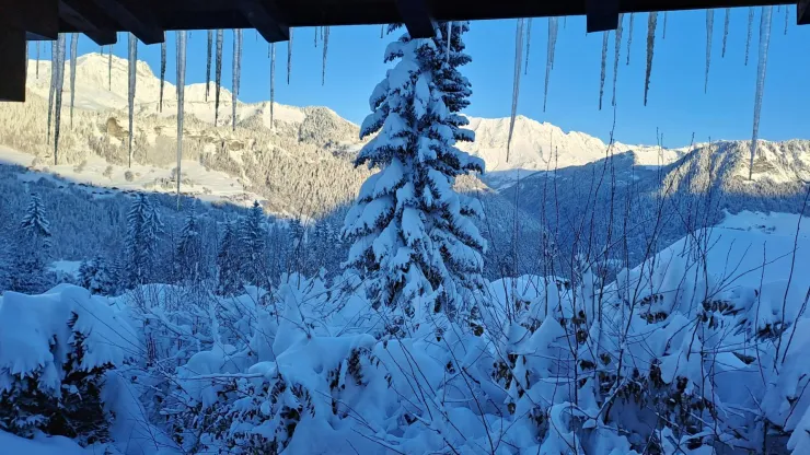 vue de la chambre rez de balcon janvier 2023