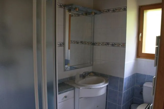 Salle de Bain cabine de douche / wc de l’étage. 