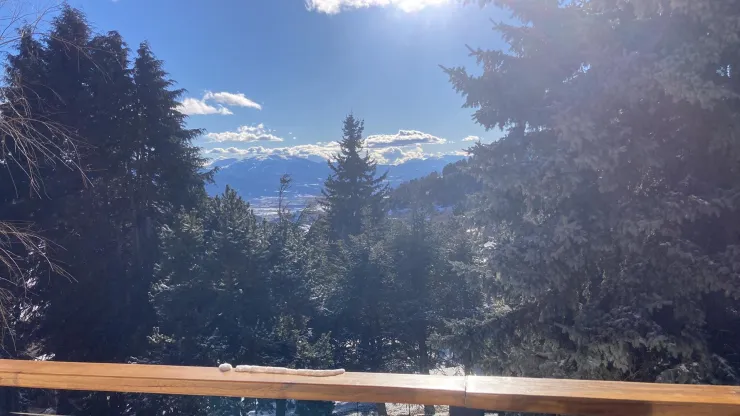 Vue depuis la terrasse du RDC