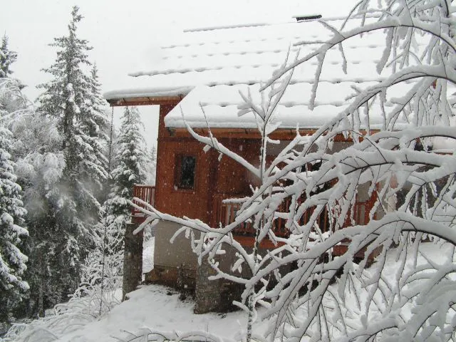 close to the forest