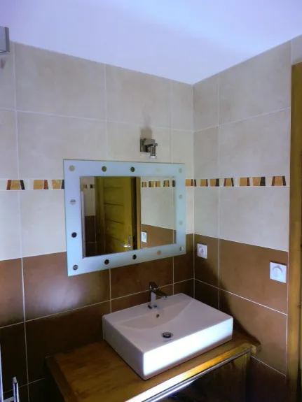 Salle de bain du niveau 1 avec lavabo, WC et cabine douche