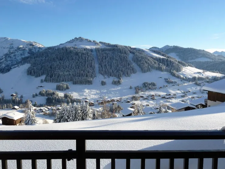 vue du balcon