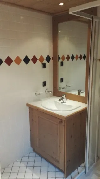 the bathroom with the shower