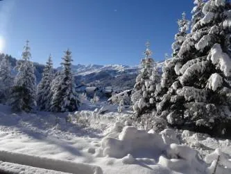 Hiver : La vue du balcon plein sud 
