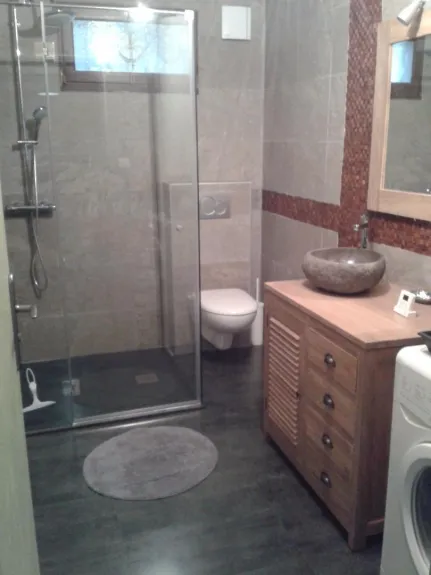 Salle de douche appartement arrière 