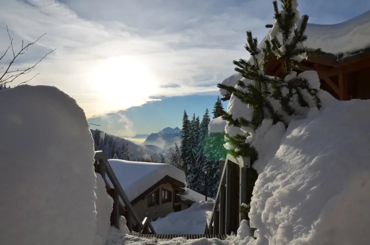 Vue prise lors d'une balade dans la résidence des Oursons