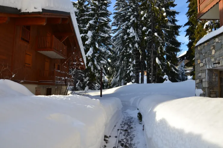 Chemin d'accès au chalet