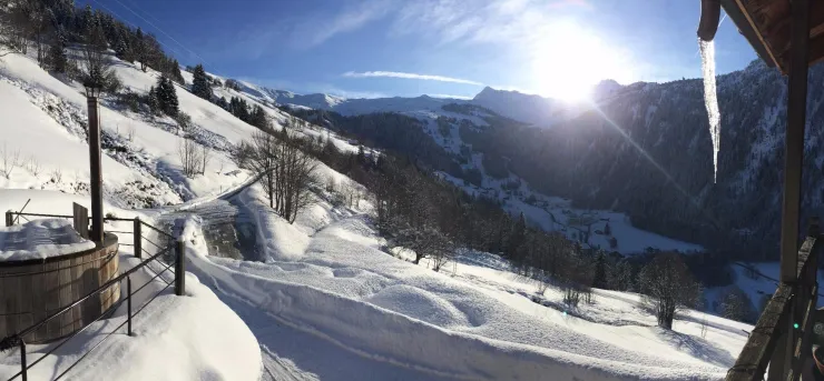Vue de la terrasse et route d'accès 