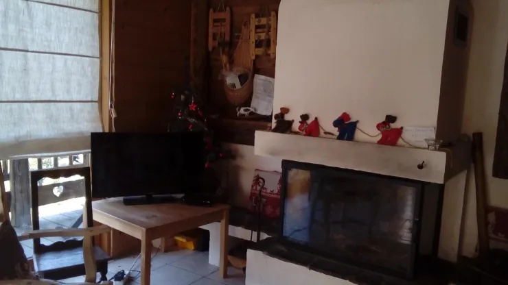 cheminée avec bois fourni