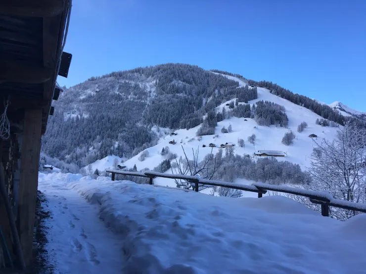 Vue du chalet Sud