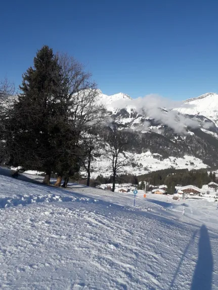 LES PISTES