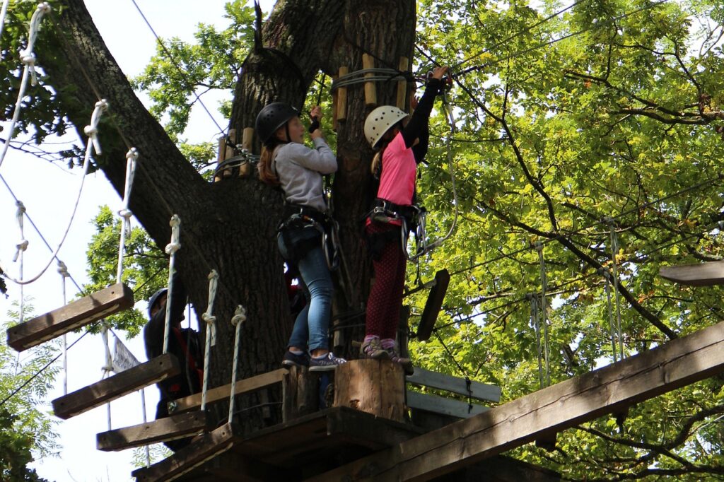 activité à la montagne en famille : l'accrobranche