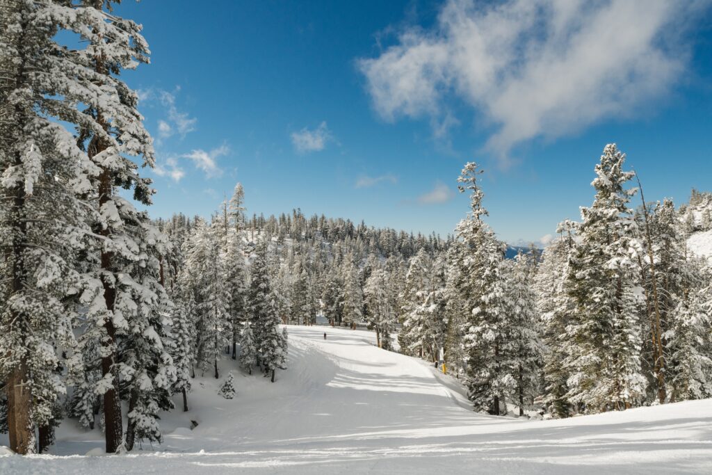 piste de ski Vosges