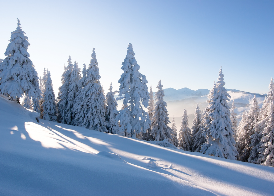 paysage neige sapins