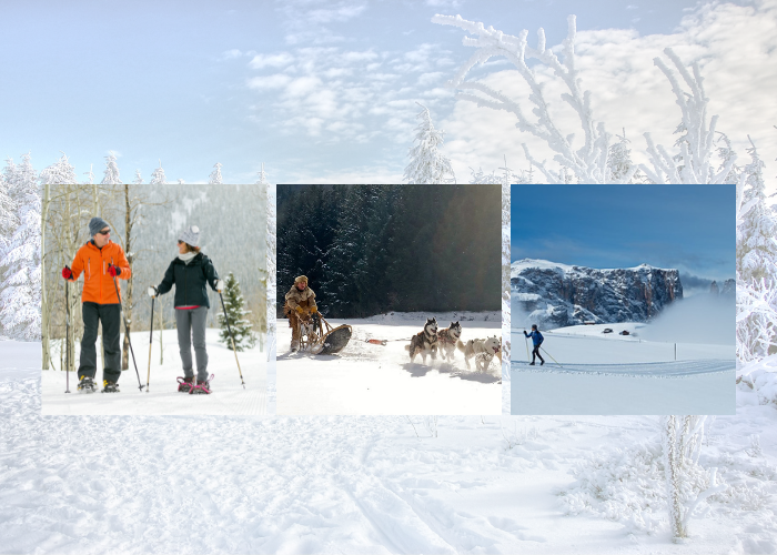 activités à la montagne l'hiver