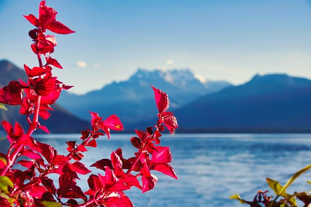 lac léman