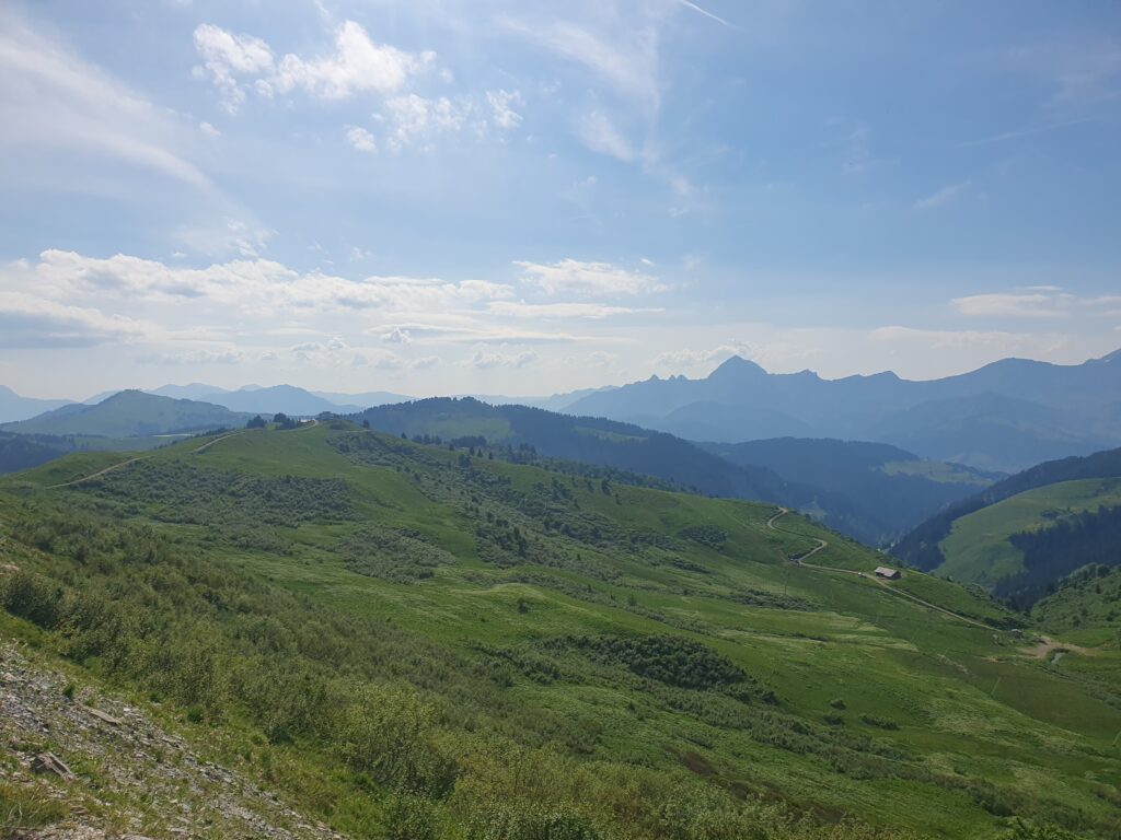 les saisies l'été