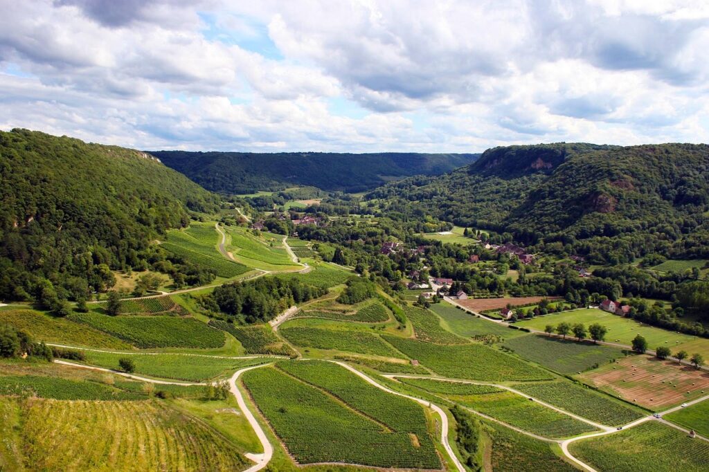 Le jura et ses vignes