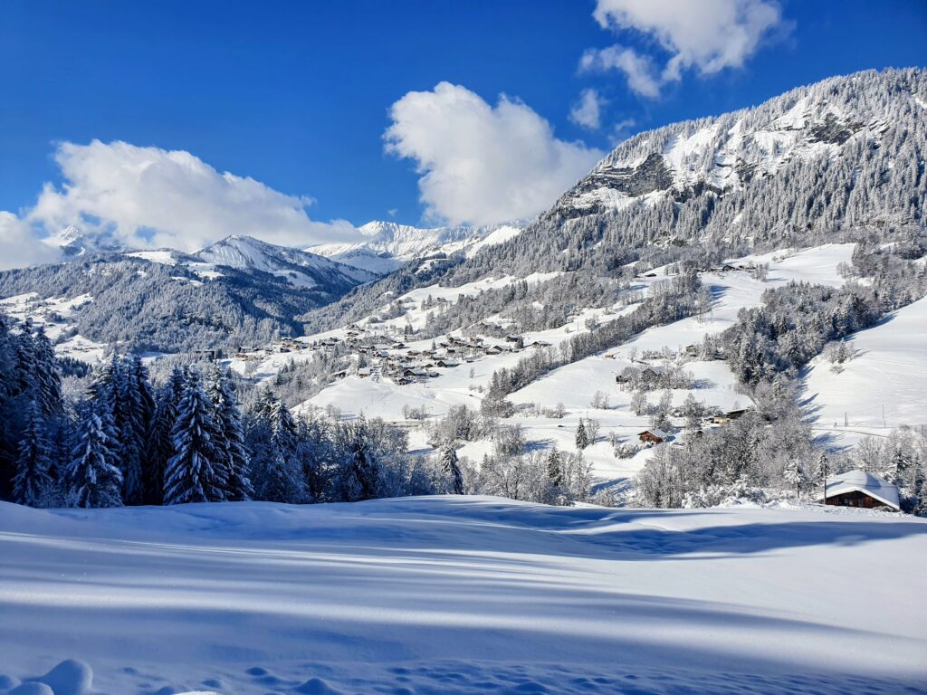 chalet avec jacuzzi privatif en savoie à Flumet